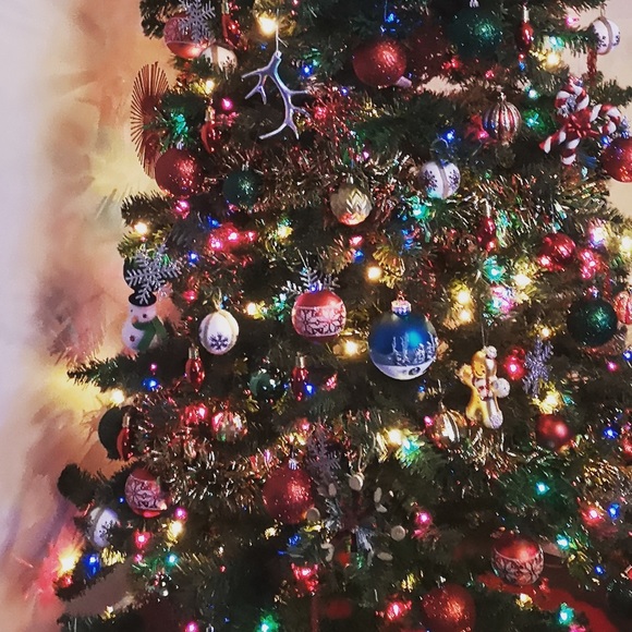 Meet your Posher, Rocio - Picture 1 of 1